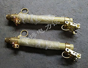 RW10-10/100a~200A戶外高壓跌落式（shì）熔斷器管令克開關保險熔斷器管