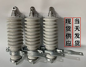 氧化鋅避雷器Y5WS-17/50金屬陶瓷氧化物避雷（léi）器