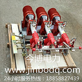 FN12-12RD/125-31.5負荷開關FN12-10RD 熔斷器式（shì）高壓戶內開關